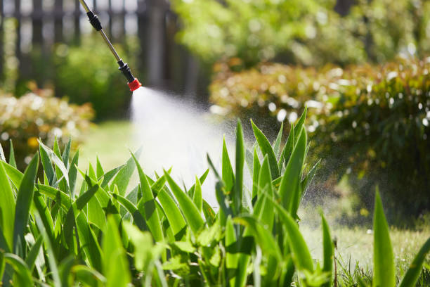 Tamper-Resistant Bait Stations for Rodents in Mayville