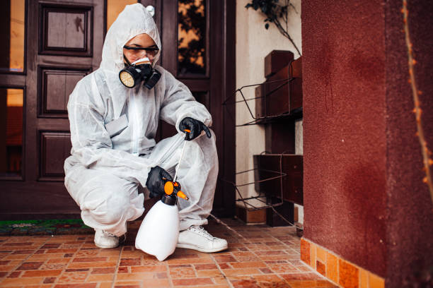 Attic and Crawl Space Rodent Treatment in Mayville